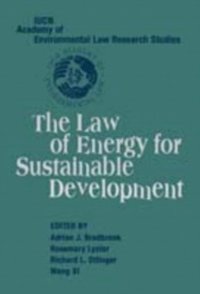 Law of Energy for Sustainable Development (e-bok)