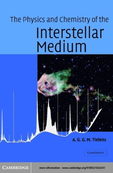 Physics and Chemistry of the Interstellar Medium (e-bok)