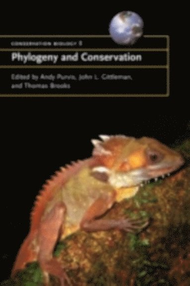 Phylogeny and Conservation (e-bok)