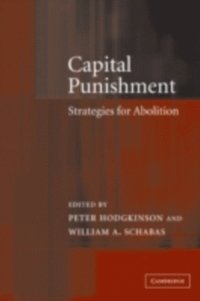 Capital Punishment (e-bok)