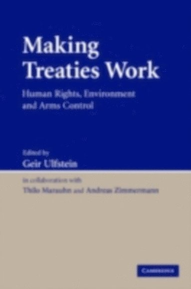 Making Treaties Work (e-bok)