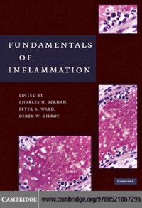 Fundamentals of Inflammation (e-bok)