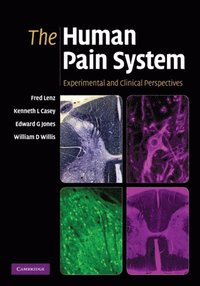 Human Pain System (e-bok)