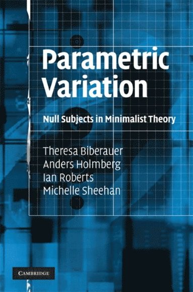 Parametric Variation (inbunden)