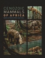 Cenozoic Mammals of Africa (inbunden)