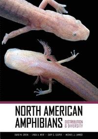 North American Amphibians (inbunden)