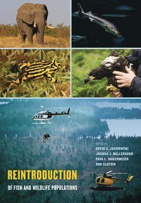 Reintroduction of Fish and Wildlife Populations (inbunden)