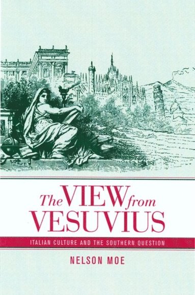 View from Vesuvius (e-bok)