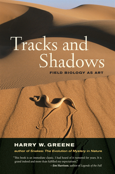 Tracks and Shadows (e-bok)