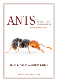 Ants of Africa and Madagascar (e-bok)