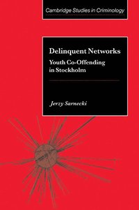 Delinquent Networks (häftad)