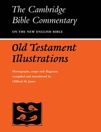 Old Testament Illustrations (hftad)