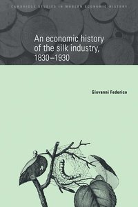 An Economic History of the Silk Industry, 1830-1930 (häftad)