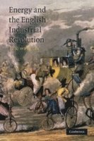 Energy and the English Industrial Revolution (hftad)