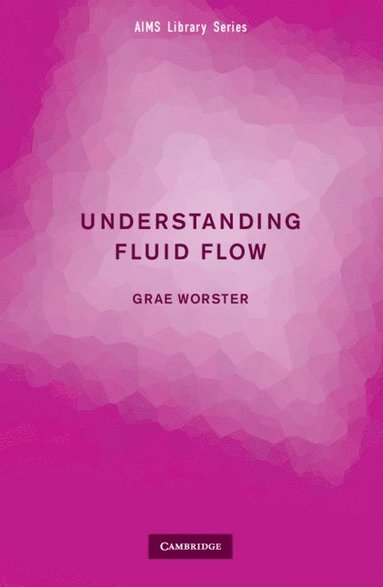 Understanding Fluid Flow (häftad)