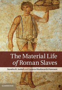 The Material Life of Roman Slaves (hftad)