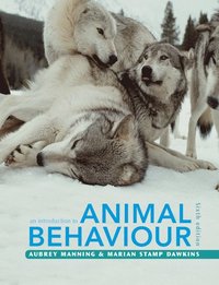 An Introduction to Animal Behaviour (häftad)