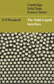 Solid-Liquid Interface (häftad)