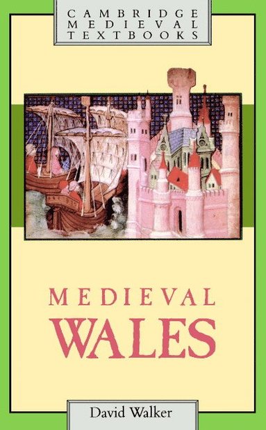 Medieval Wales (hftad)