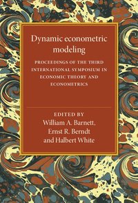 Dynamic Econometric Modeling (inbunden)