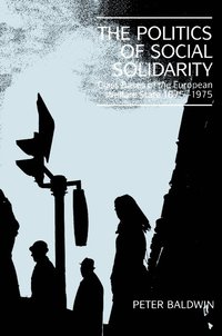 The Politics of Social Solidarity (hftad)