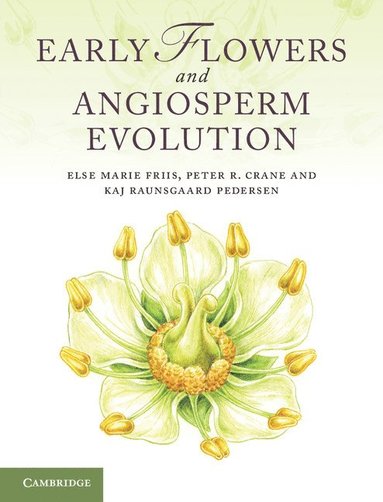 Early Flowers and Angiosperm Evolution (inbunden)