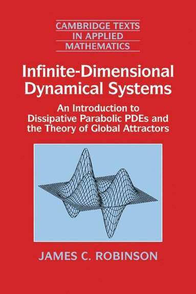 Infinite-Dimensional Dynamical Systems (inbunden)