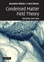 Condensed Matter Field Theory (inbunden)