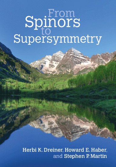 From Spinors to Supersymmetry (inbunden)