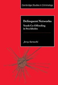 Delinquent Networks (inbunden)