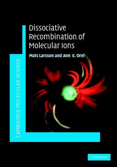Dissociative Recombination of Molecular Ions (inbunden)