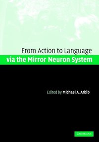 Action to Language via the Mirror Neuron System (inbunden)