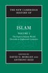 New Cambridge History of Islam