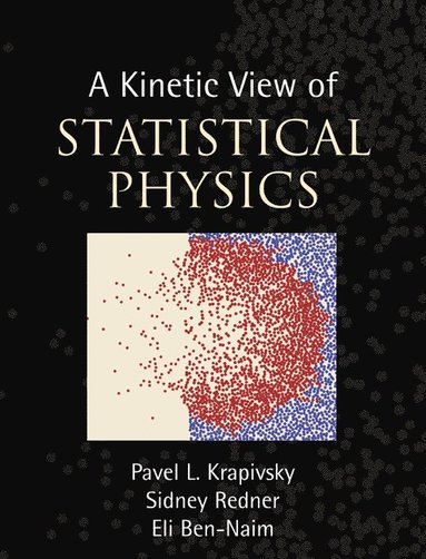 A Kinetic View of Statistical Physics (häftad)