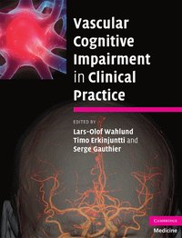 Vascular Cognitive Impairment in Clinical Practice (inbunden)