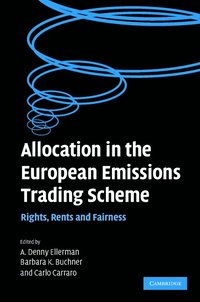 Allocation in the European Emissions Trading Scheme (inbunden)