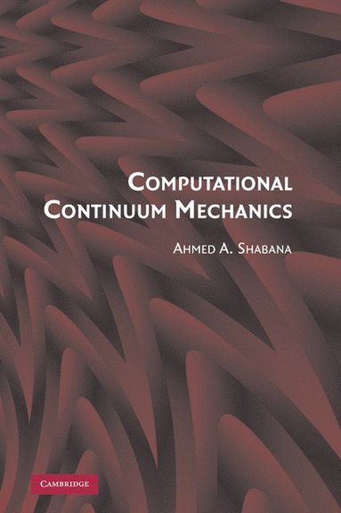 Computational Continuum Mechanics (häftad)