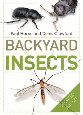Backyard Insects (inbunden)