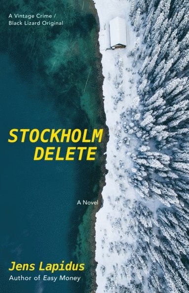 Stockholm Delete (e-bok)