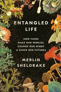 Entangled Life: How Fungi Make Our Worlds, Change Our Minds & Shape Our Futures (inbunden)