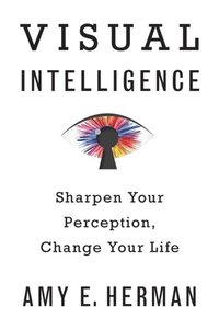 Visual Intelligence (e-bok)