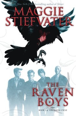 Raven Boys (The Raven Cycle, Book 1) (hftad)