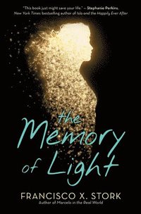 Memory Of Light (häftad)