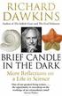 Brief Candle in the Dark