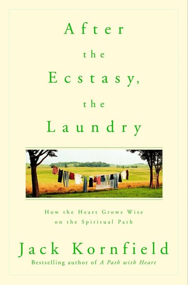 After the Ecstasy, the Laundry (h�ftad)