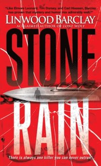 Stone Rain (e-bok)
