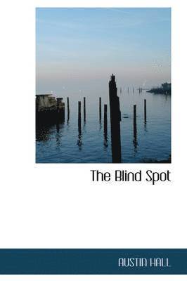Blind Spot (häftad)