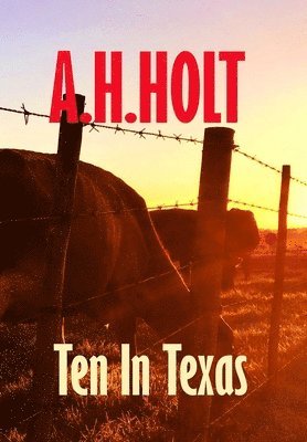 Ten in Texas (häftad)