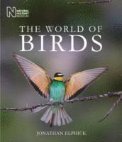 The World of Birds (inbunden)