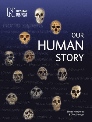 Our Human Story (hftad)